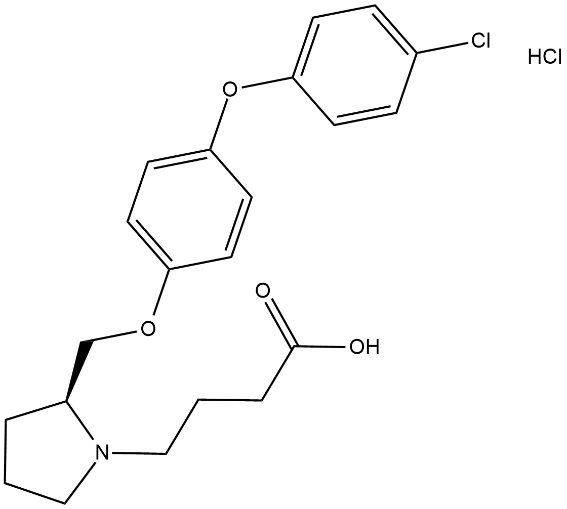 DG-051图片