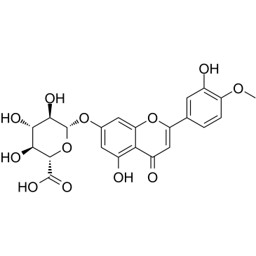 DiosMetin 7-O-β-D-Glucuronide图片