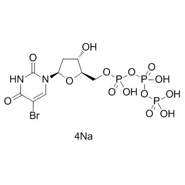 5-BrdUTP sodium salt(5-Bromo-2'-deoxyuridine 5'-triphosphate sodium salt)图片