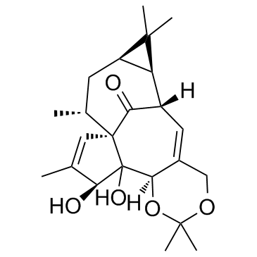 Ingenol-5,20-acetonide图片