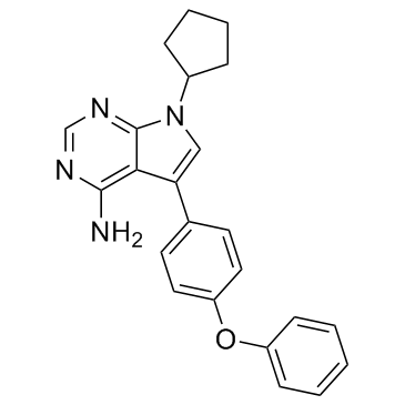 RK-24466(KIN 001-51)图片