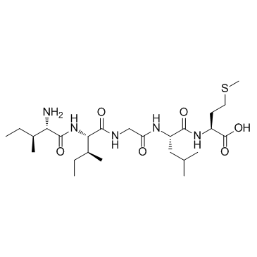 β-Amyloid 31-35图片