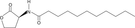 N-undecanoyl-L-Homoserine lactone图片