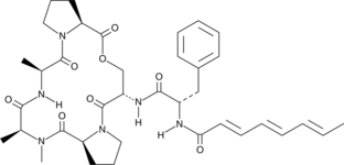 A-54556B图片