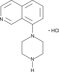 8-piperazin-1-yl-Isoquinoline(hydrochloride)图片