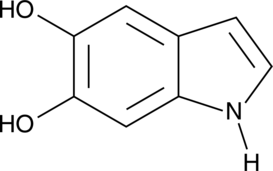 5,6-dihydroxy Indole图片