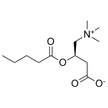 Valerylcarnitine图片