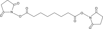 Disuccinimidyl Suberate图片