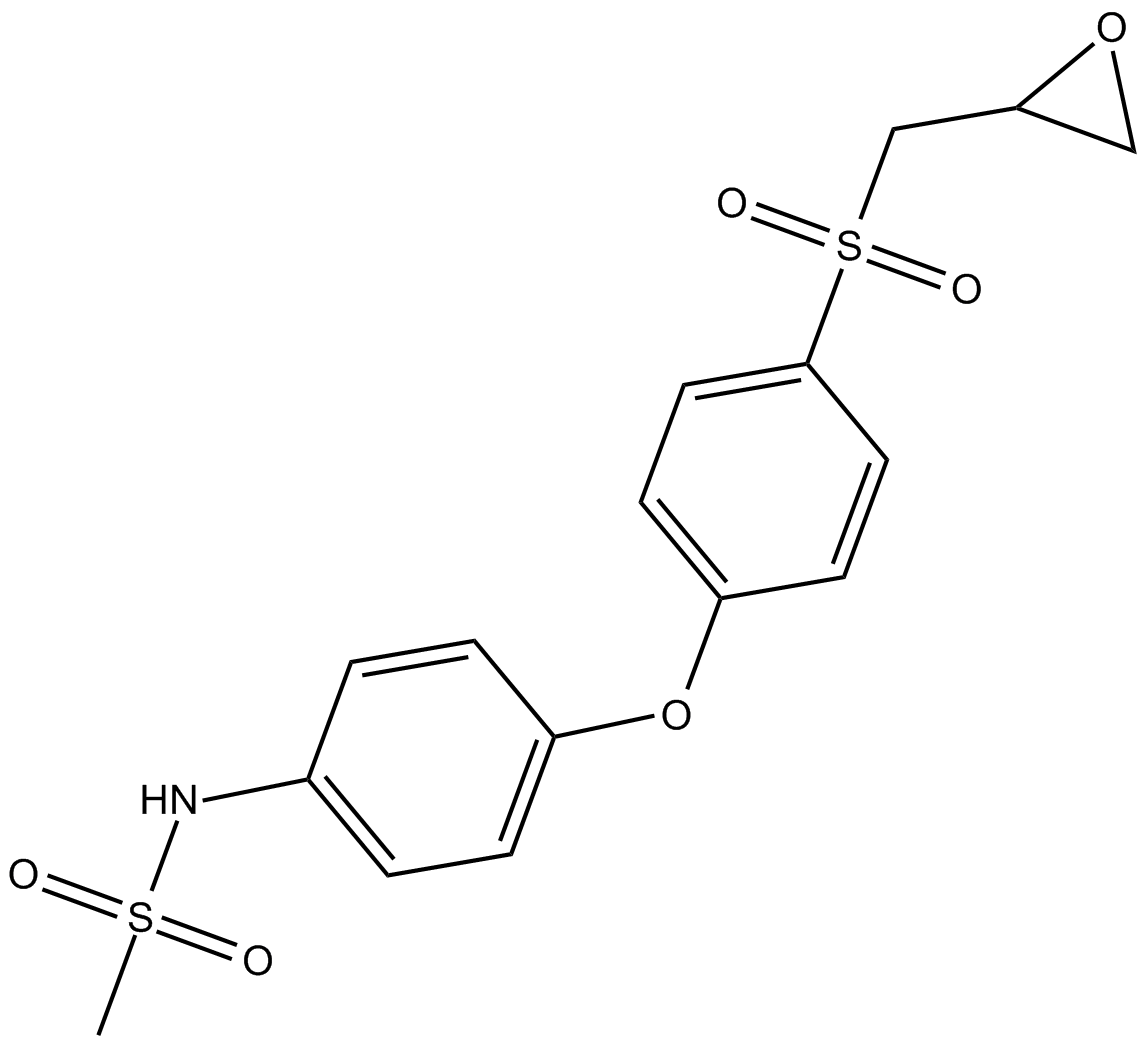 MMP-2 Inhibitor II图片
