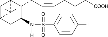I-SAP图片