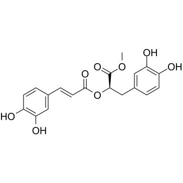 Methyl rosmarinate图片
