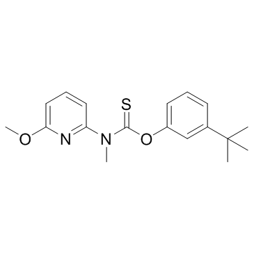 Pyributicarb(TSH-888)图片