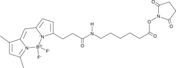 3-BODIPY-propanoylaminocaproic Acid N-hydroxysuccinimide ester图片