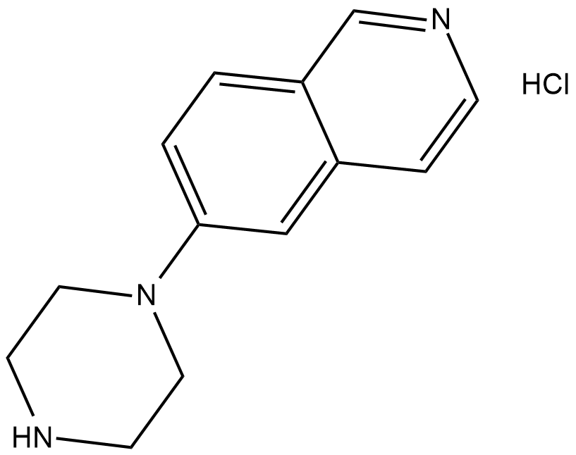 6-piperazin-1-yl-Isoquinoline(hydrochloride)图片