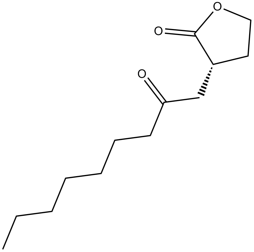 N-octanoyl-L-Homoserine lactone图片