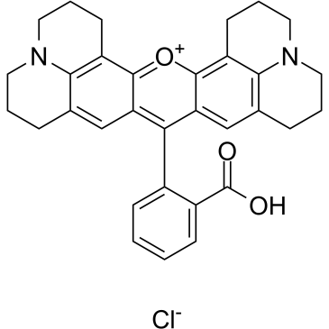 Rhodamine 101 chloride图片