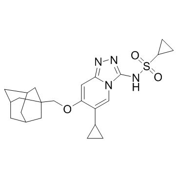 GNE-131图片