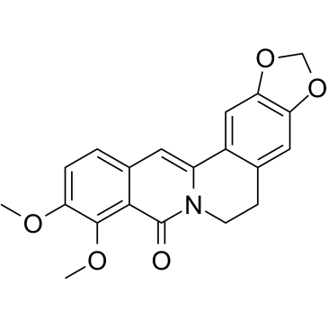 Oxyberberin图片