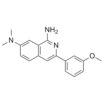 3-arylisoquinolinamine derivative图片