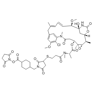 SMCC-DM1(DM1-SMCC)图片