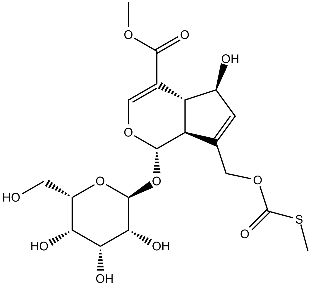 paederosidic acid methyl ester图片