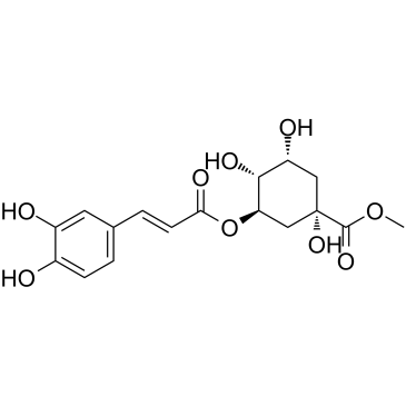 3-O-Caffeoylquinic acid methyl ester图片