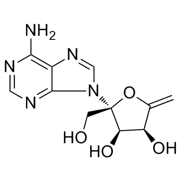 Decoyinine(Angustmycin A)图片