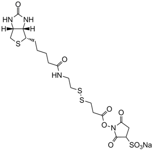 Sulfo-NHS-SS-Biotin图片