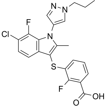 PAT-048图片