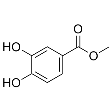 Methyl 3,4-dihydroxybenzoate(Protocatechuic acid methyl ester)图片