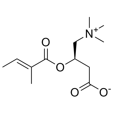 Tiglyl carnitine图片