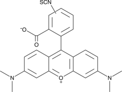 Tetramethylrhodamine isothiocyanate(mixed isomers)图片