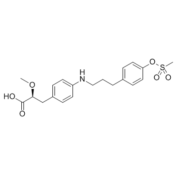 PPAR agonist 1图片