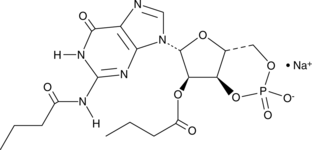 Dibutyryl-Cyclic GMP(sodium salt)图片