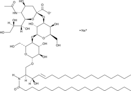 Ganglioside GM3 Mixture(sodium salt)图片