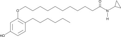 CB-52图片