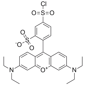 Sulforhodamine B acid chloride图片