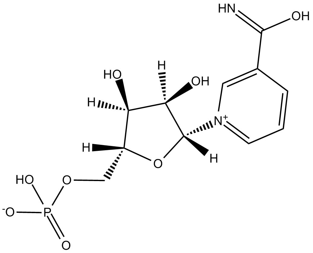 beta-Nicotinamide mononucleotide图片