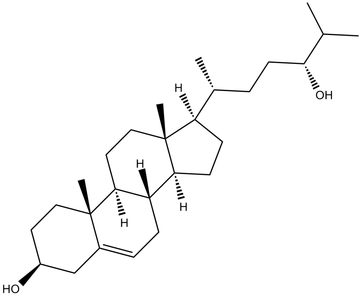 24(R)-hydroxy Cholesterol图片