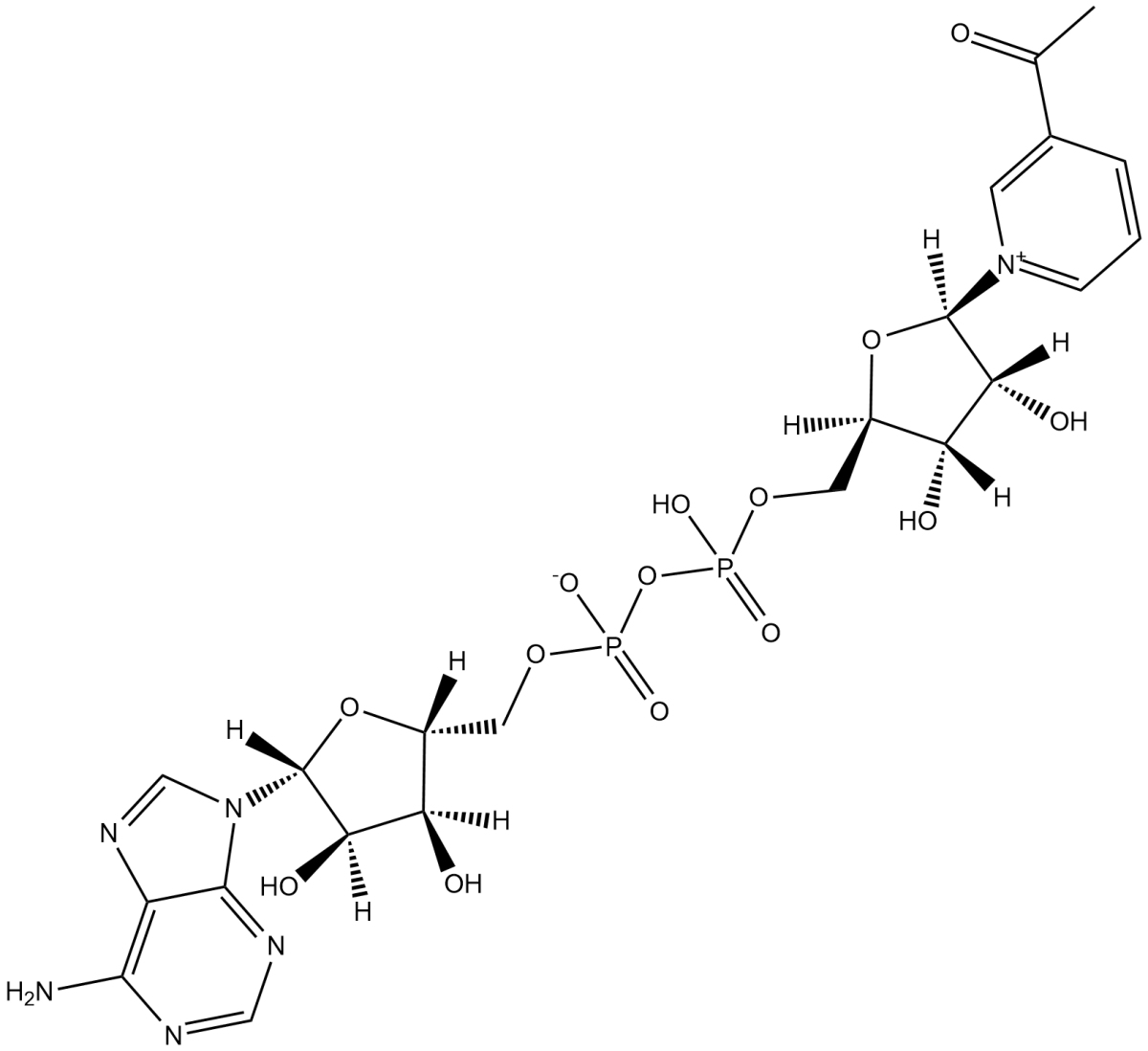 3-Acetylpyridine NAD图片
