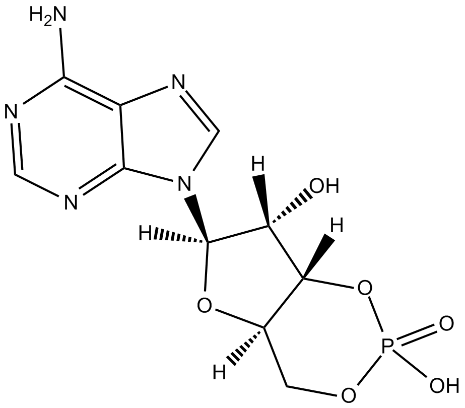 Adenosine 3-5-cyclic monophosphate图片