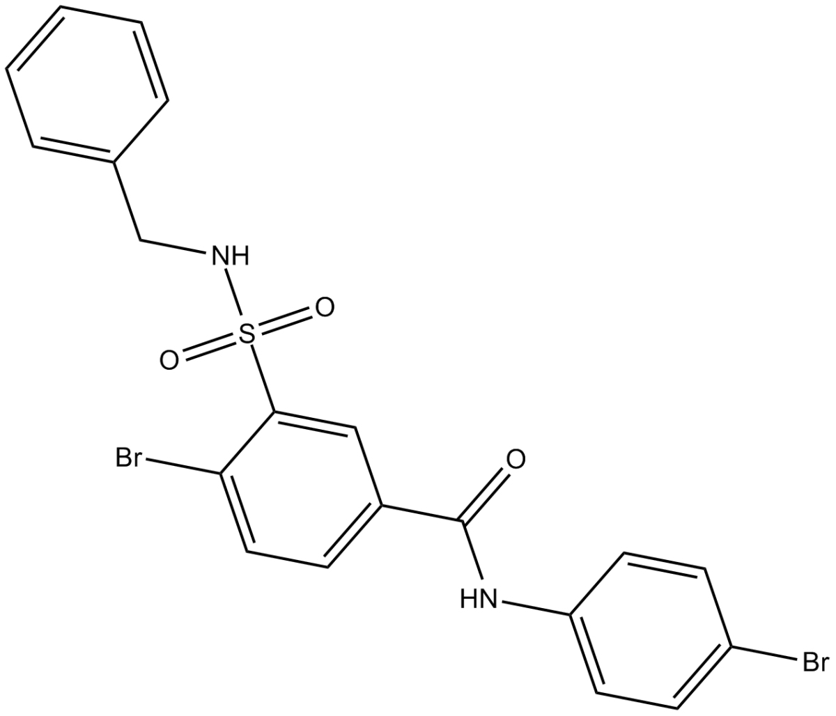 RS-1图片
