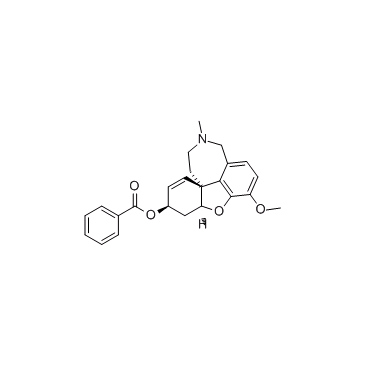 MGB-BP-3图片