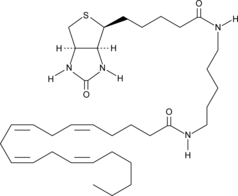 Arachidonic Acid-biotin图片