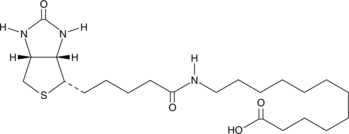 12:0 N-Biotinyl Fatty Acid图片