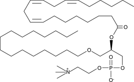 Dihomo-&gamma-Linolenoyl PAF C-16图片