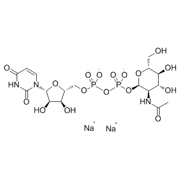UDP-GlcNAc Disodium Salt(UDP-α-D-N-Acetylglucosamine Disodium Salt)图片