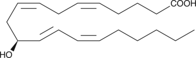 11(S)-HETE图片