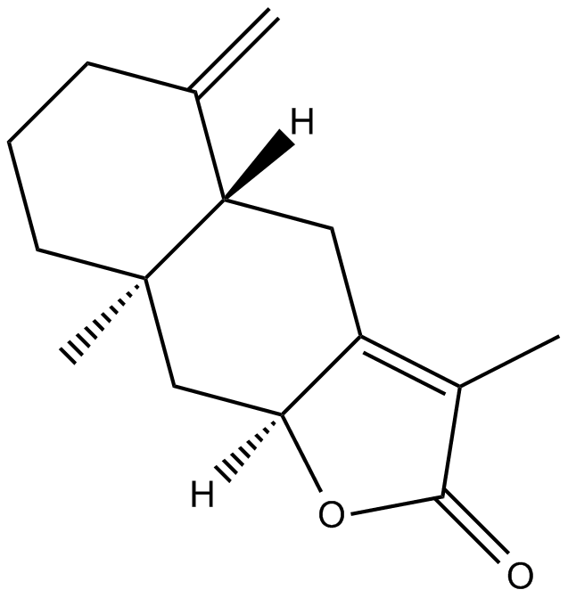 2-Atractylenolide图片