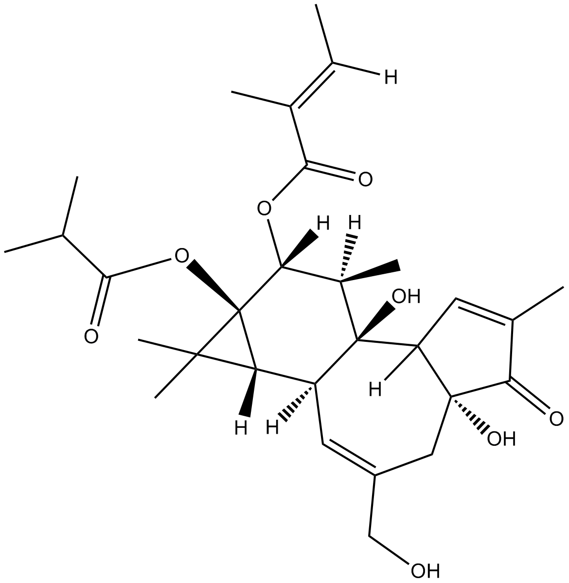 12-O-Tiglylphorbol-13 &ndashisobutyrate图片